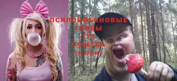 метадон Армянск