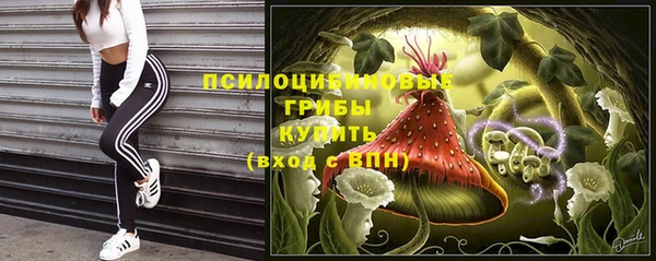 a pvp Аркадак